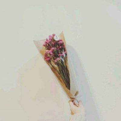 我的萨嘉德手游下载